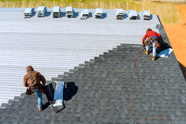 Best Metal Roofing Contractor  in Trail Creek, IN