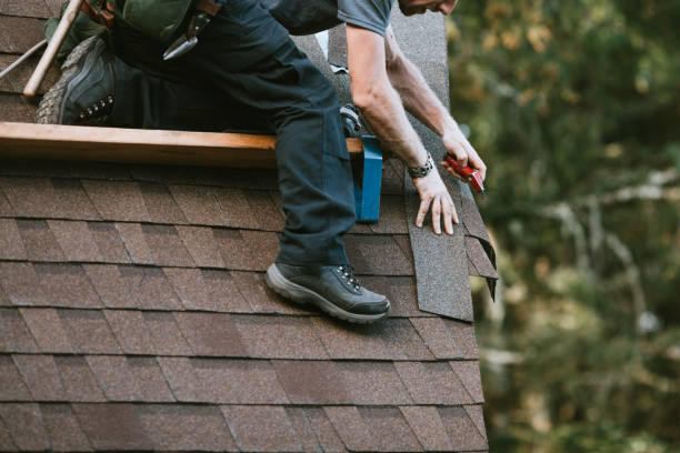 Best Storm Damage Roof Repair  in Trail Creek, IN